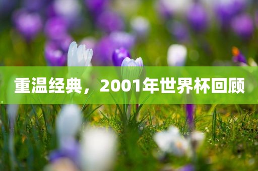 重温经典，2001年世界杯回顾