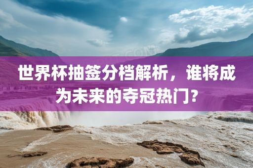 世界杯抽签分档解析，谁将成为未来的夺冠热门？