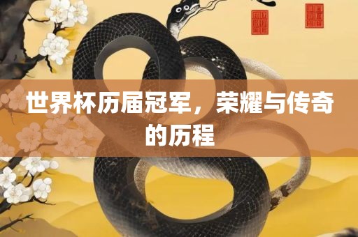 世界杯历届冠军，荣耀与传奇的历程
