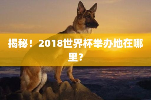 揭秘！2018世界杯举办地在哪里？漯河市盈旭机械设备有限公司