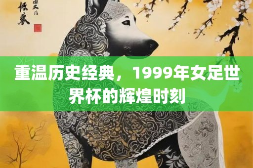 重温历史经典，1999年女足世界杯的辉煌时刻