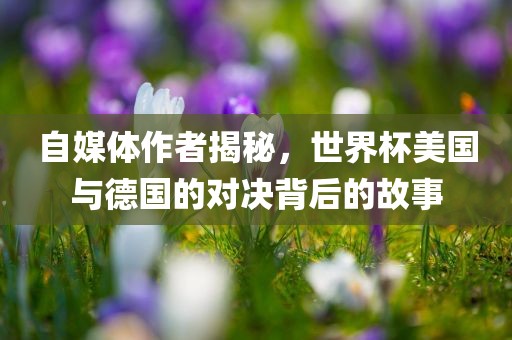 自媒体作者揭秘，世界杯美国与德国的对决背后的故事漯河市盈旭机械设备有限公司
