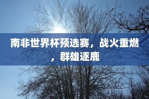 南非世界杯预选赛，战火重燃，群雄逐鹿