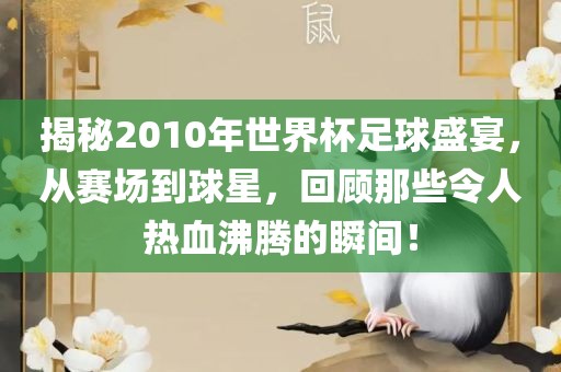 揭秘2010年世界杯足球盛宴，从赛场到球星，回顾那些令人热血沸腾的瞬间！