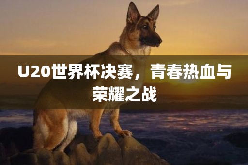 U20世界杯决赛，青春热血与荣耀之战