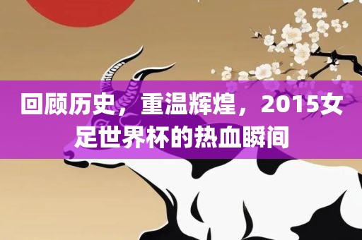 回顾历史，重温辉煌，2015女足世界杯的热血瞬间漯河市盈旭机械设备有限公司