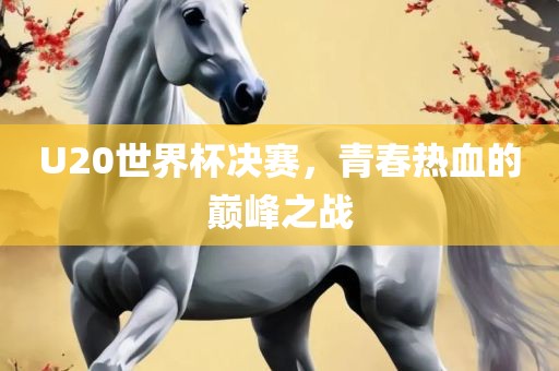 U20世界杯决赛，青春热血的巅峰之战