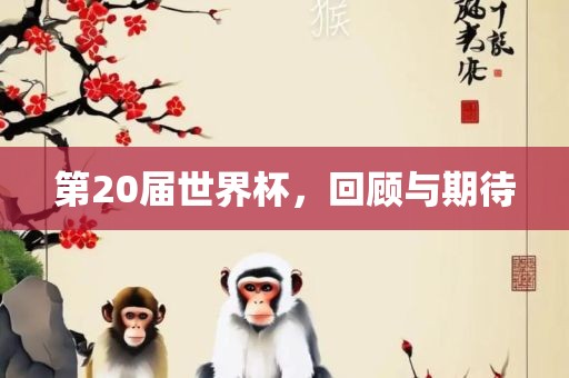 第20届世界杯，回顾与期待