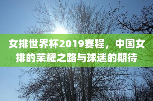女排世界杯2019赛程，中国女排的荣耀之路与球迷的期待