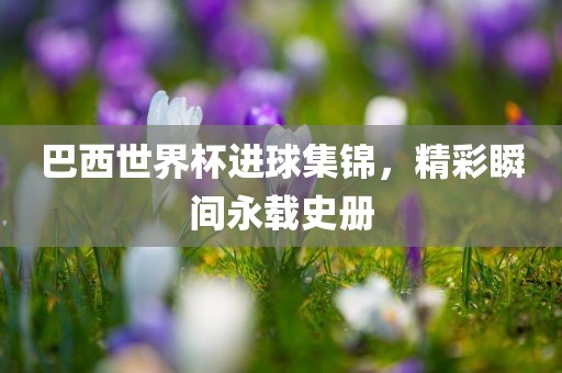 巴西世界杯进球集锦，精彩瞬间永载史册