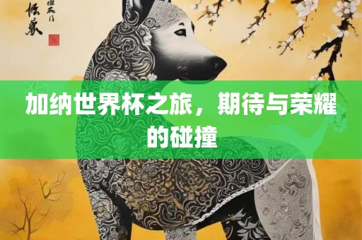 加纳世界杯之旅，期待与荣耀的碰撞