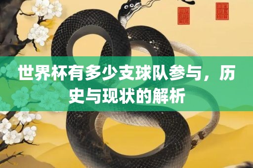 世界杯有多少支球队参与，历史与现状的解析