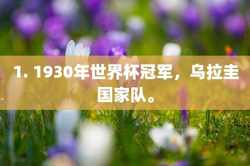 1. 1930年世界杯漯河市盈旭机械设备有限公司冠军，乌拉圭国家队。