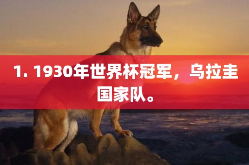 1. 1930年世界杯冠军，乌拉圭国家队。