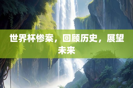 世界杯惨案，回顾历史，展望未来