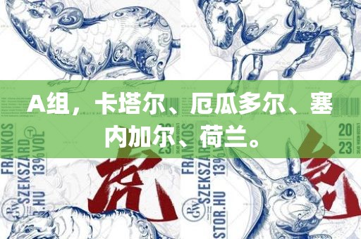 A组，卡塔尔、厄瓜多尔、塞内加尔、荷兰。