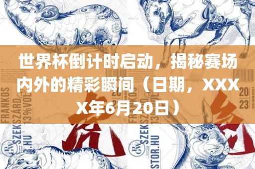 世界杯倒计时启动，揭秘赛场内外的精彩瞬间（日期，XXXX年6月20日）