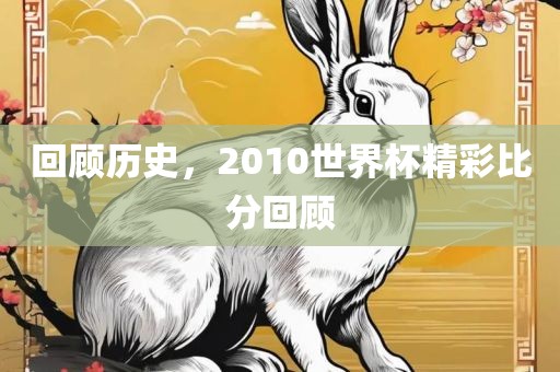 回顾历史，2010世界杯精彩比分回顾
