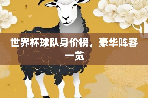 世界杯球队身价榜，豪华阵容一览