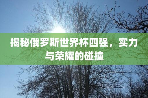 揭秘俄罗斯世界杯四强，实力与荣耀的碰撞