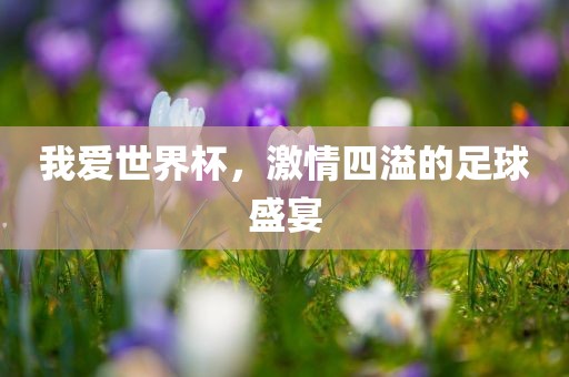 漯河市盈旭机械设备有限公司我爱世界杯，激情四溢的足球盛宴