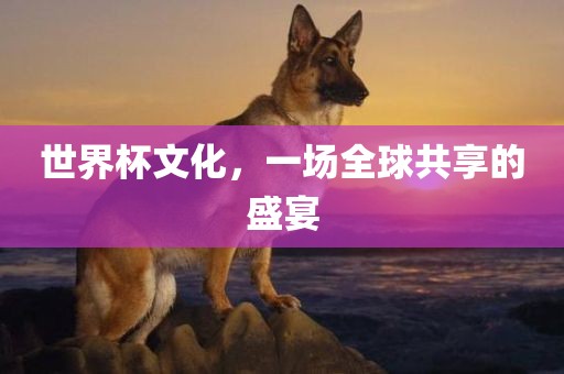 世界杯文化，一场全球共享的盛宴