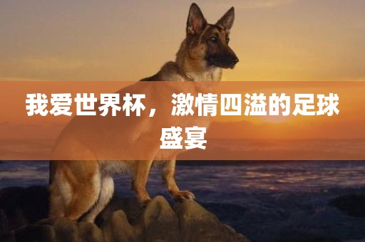 足球盛宴 第21页