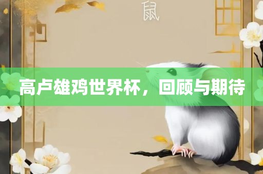 高卢雄鸡世界杯，回顾与期待