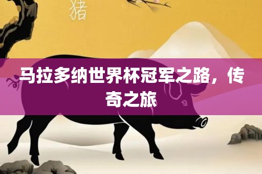 马拉多纳世界杯冠军之路，传奇之旅