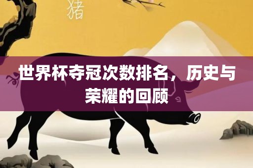 世界杯夺冠次数排名，历史与荣耀的回顾