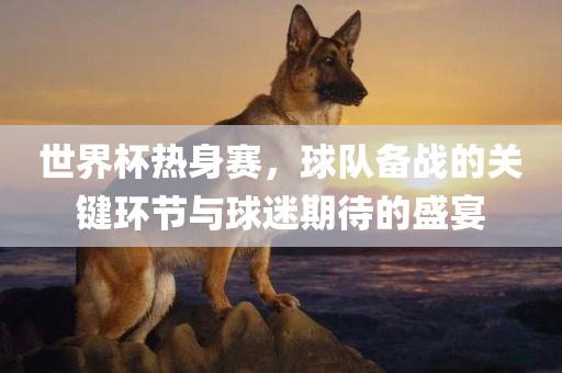 世界杯热身赛，球队备战的关键环节与球迷期待的盛宴漯河市盈旭机械设备有限公司