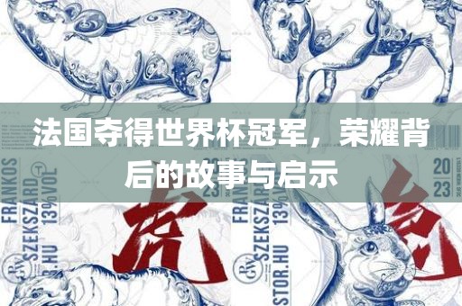 法国夺得世界杯冠军，荣耀背后的故事与启示