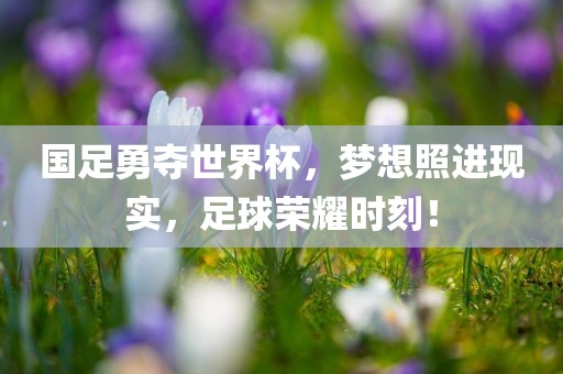 国足勇夺世界杯，梦想照进现实，足球荣耀时刻！