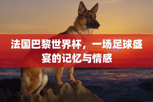 法国巴黎世界杯，一场足球盛宴的记忆与情感