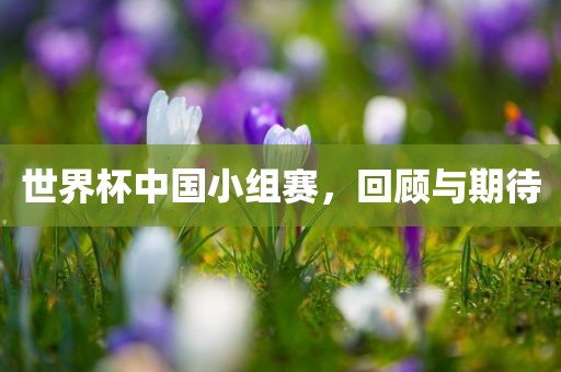 世界杯中国小组赛，回顾与期待