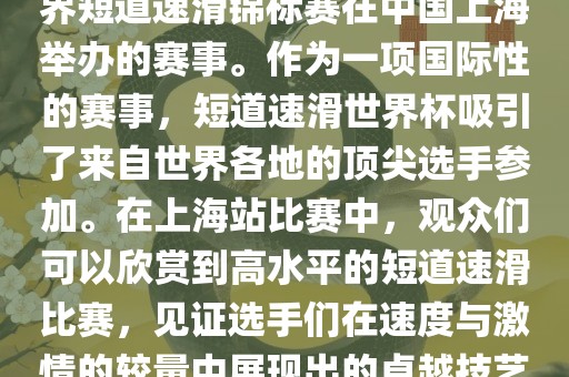 短道速滑世界杯上海站是指世界短道速滑锦标赛在中国上海举办的赛事。作为一项国际性的赛事，短道速滑世界杯吸引了来自世界各地的顶尖选手参加。在上海站比赛中，观众们可以欣赏到高水平的短道速滑比赛，见证选手们在速度与激情的较量中展现出的卓越技艺和竞技精神。