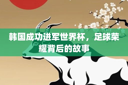 韩国成功进军世界杯，足球荣耀背后的故事