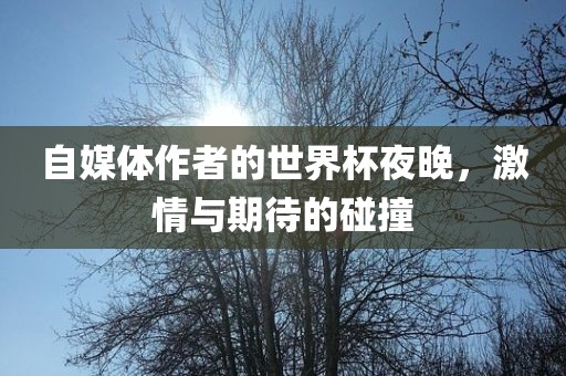 自媒体作者的世界杯夜晚，激情与期待的碰撞