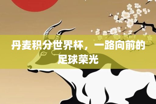 丹麦积分世界杯，一路向前的足球荣光