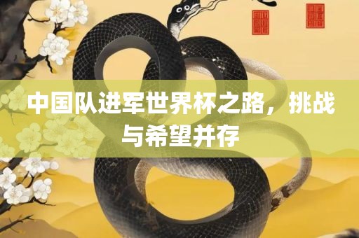 中国队进军世界杯之路，挑战与希望并存