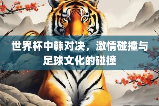世界杯中韩对决，激情碰撞与足球文化的碰撞