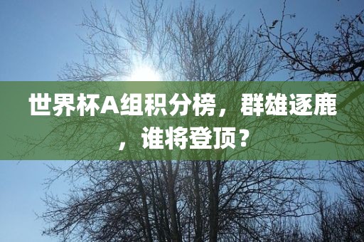 世界杯A组积分榜，群雄逐鹿，谁将登顶？