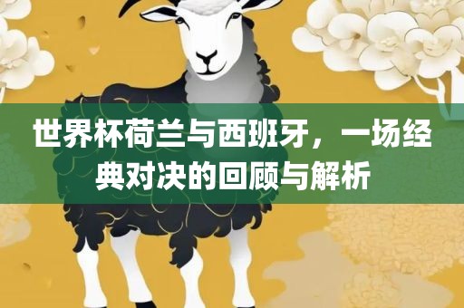 世界杯荷兰与西班牙，一场经典对决的回顾与解析