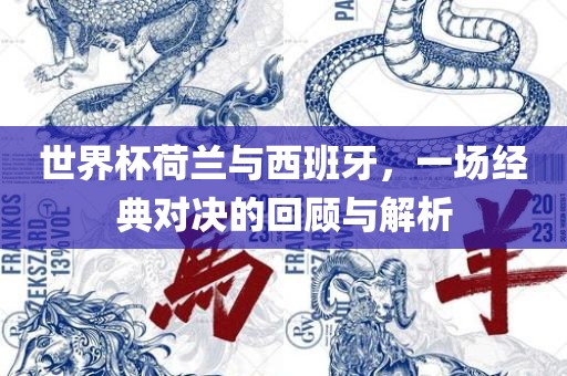 世界杯荷兰与西班牙，一场经典对决的回顾与解析