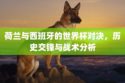 荷兰与西班牙的世界杯对决，历史交锋与战术分析