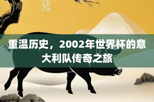 重温历史，2002年世界杯的意大利队漯河市盈旭机械设备有限公司传奇之旅