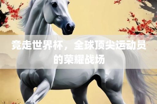 竞走世界杯，全球顶尖运动员的荣耀战场