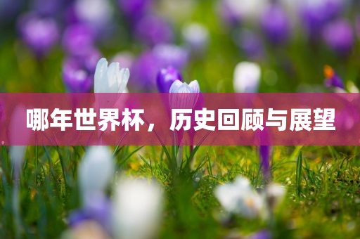 哪年世界杯，历史回顾与展望