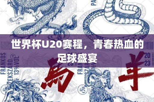 世界杯U20赛程，青春热血的足球盛宴