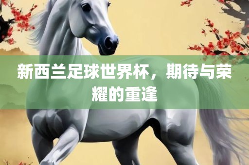 新西兰足球世界杯，期待与荣耀的重逢